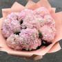 11 розовых гортензий фото 2